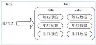 image-20230706110256007